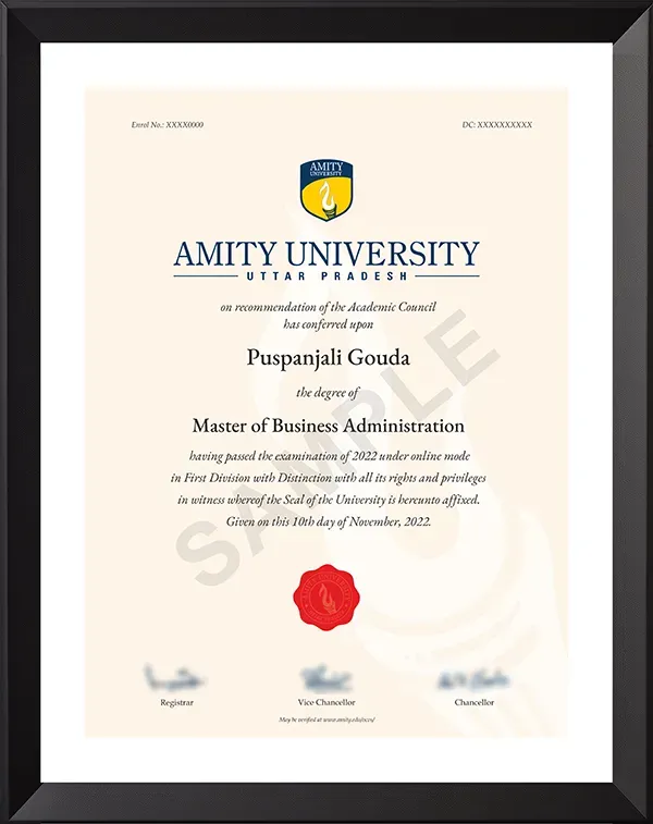 MBA International Finance Degree